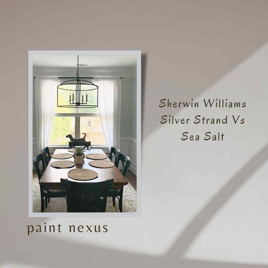 Sherwin Williams Silver Strand Vs Sea Salt